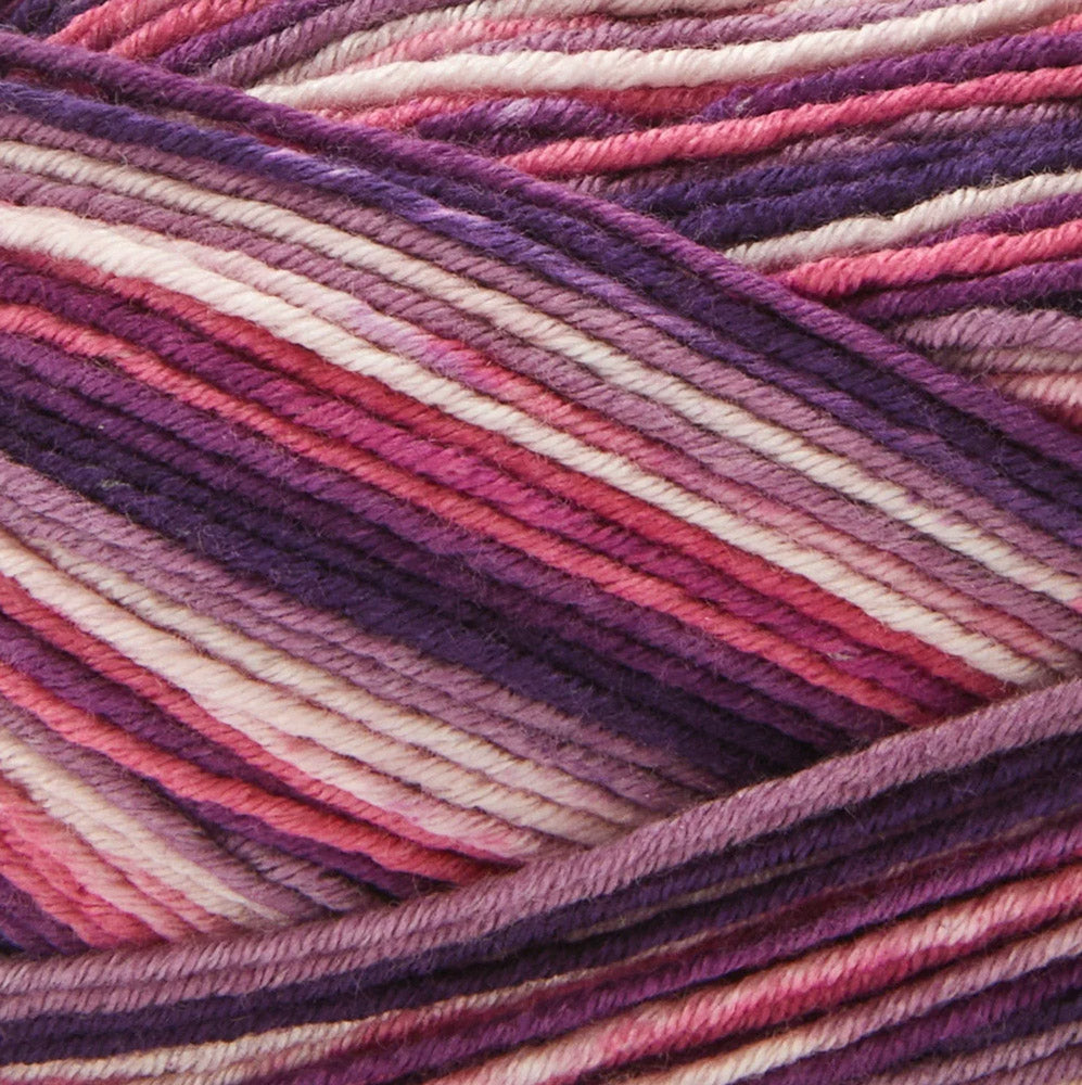 Premier Fruits Sock Yarn