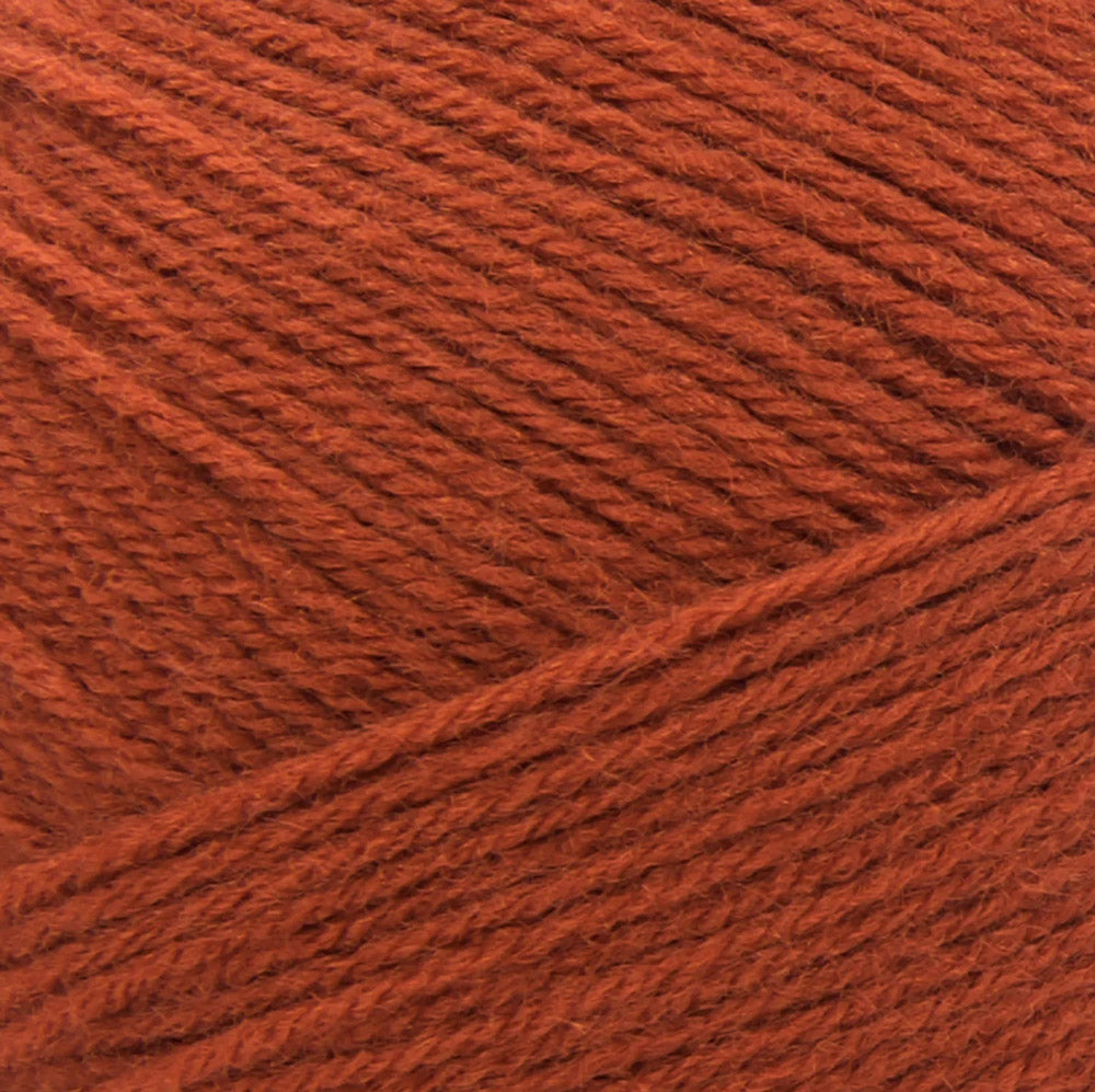 Lion Brand Pound of Love Yarn