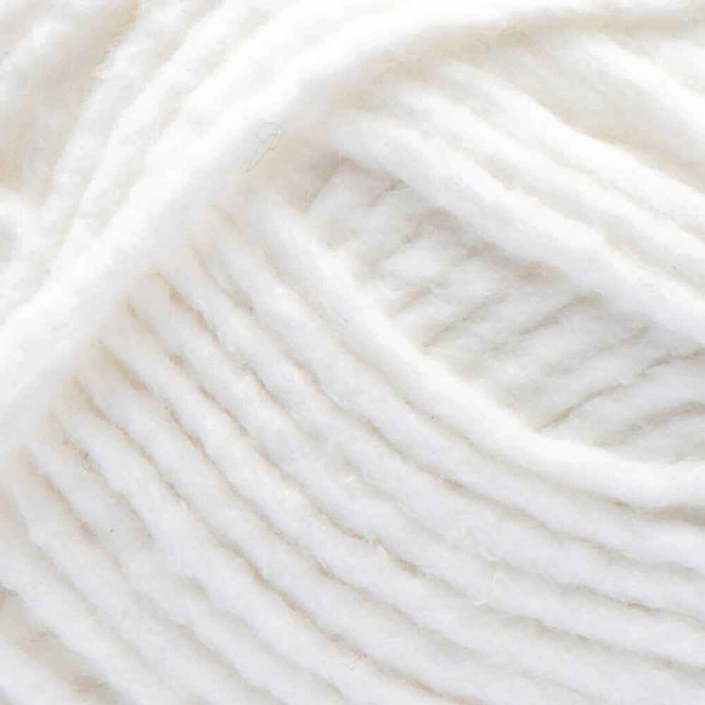 Bernat Forever Fleece Yarn