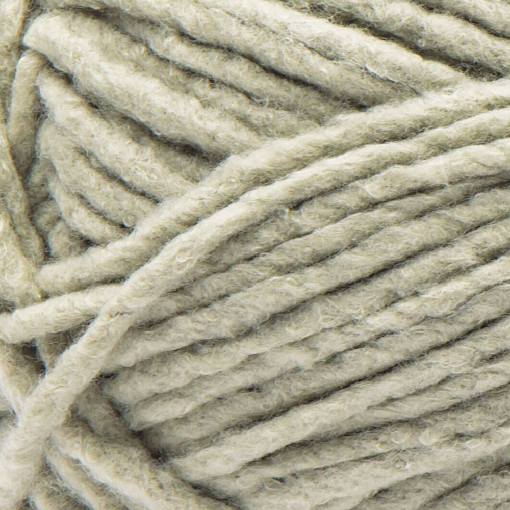 Bernat Forever Fleece Yarn