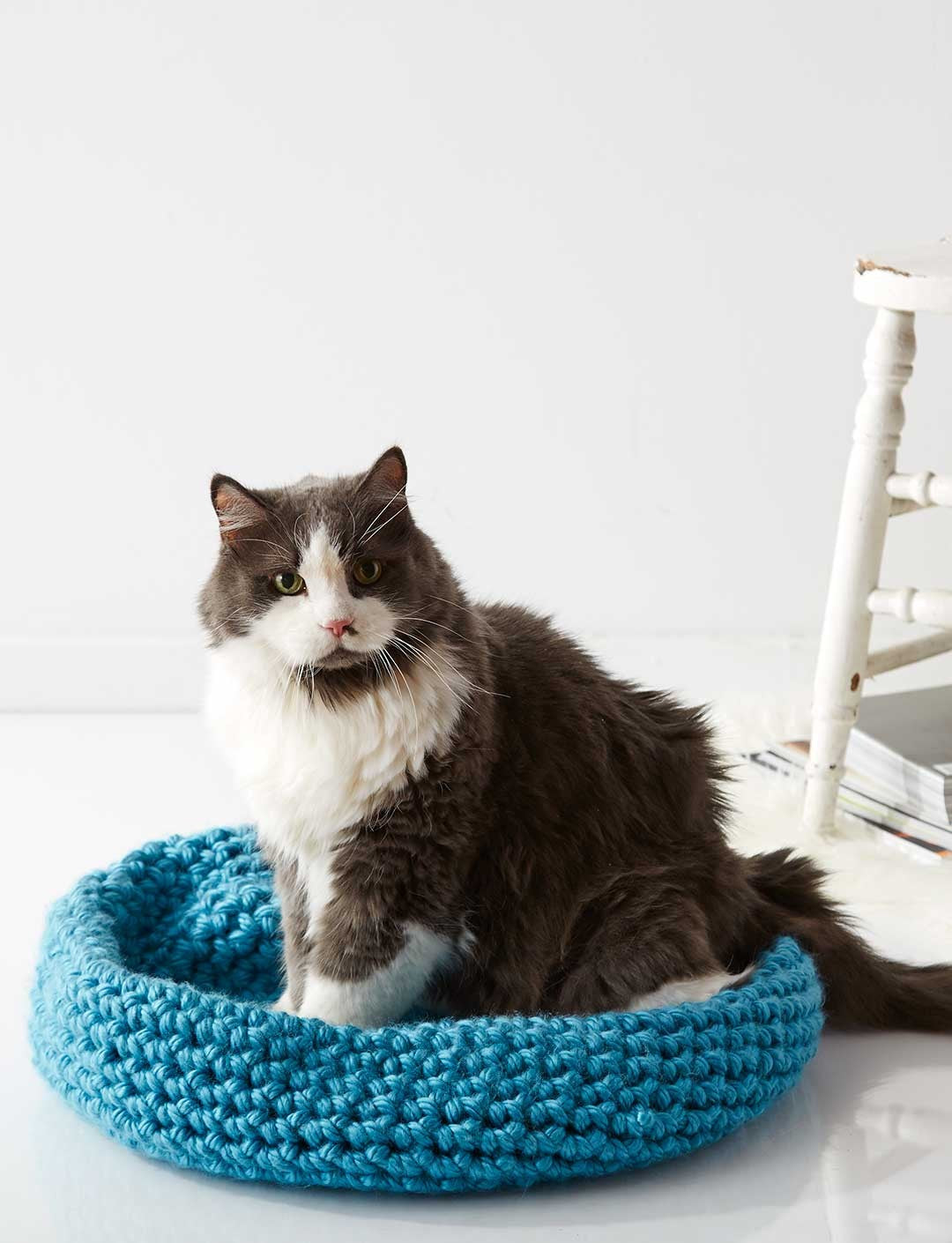 Free Cat Nap Nest Pattern – Mary Maxim