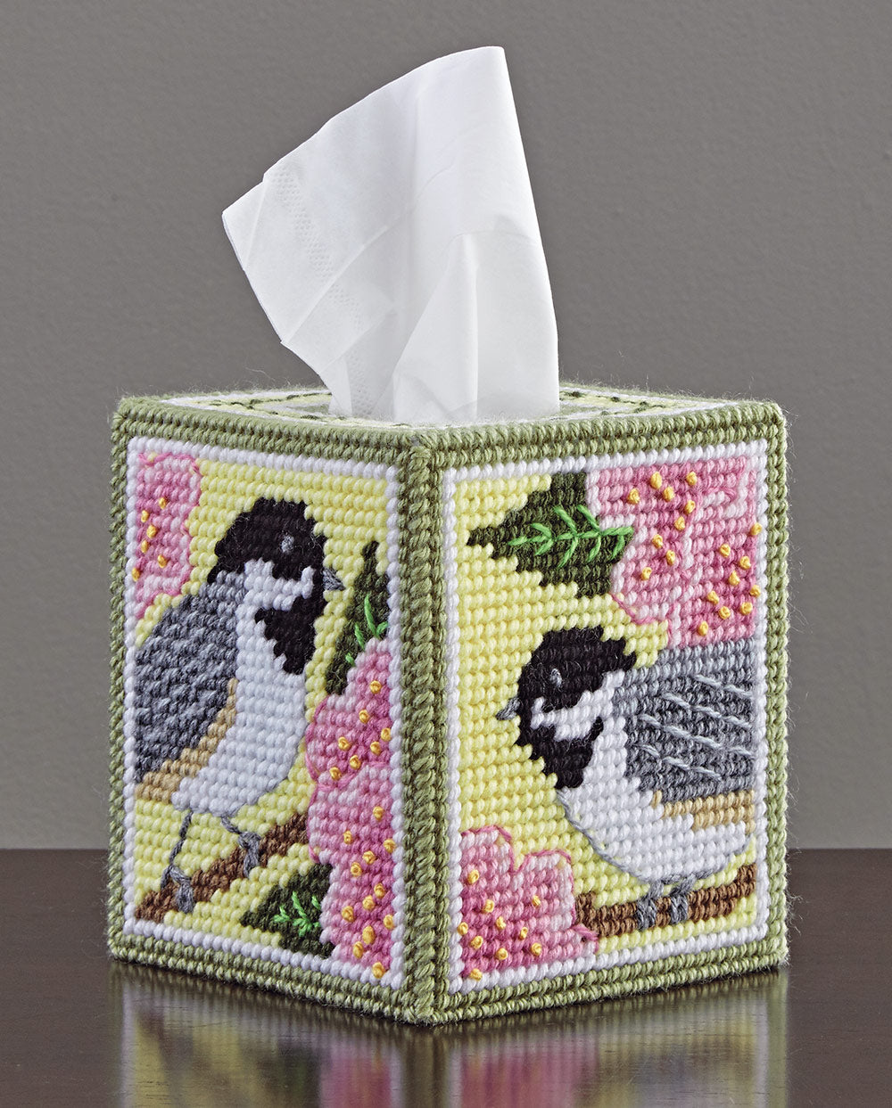 Conjunto de lienzos de plástico Chickadee y Apple Blossom