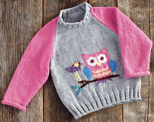Owl Pullover