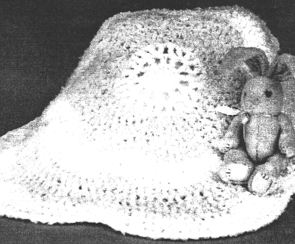 Modèle de jeté super doux