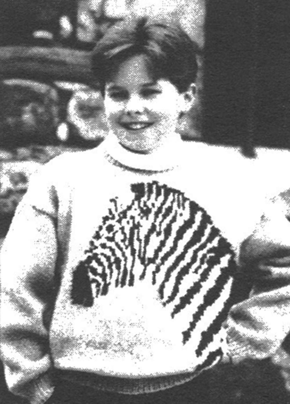 Zebra Pullover Pattern