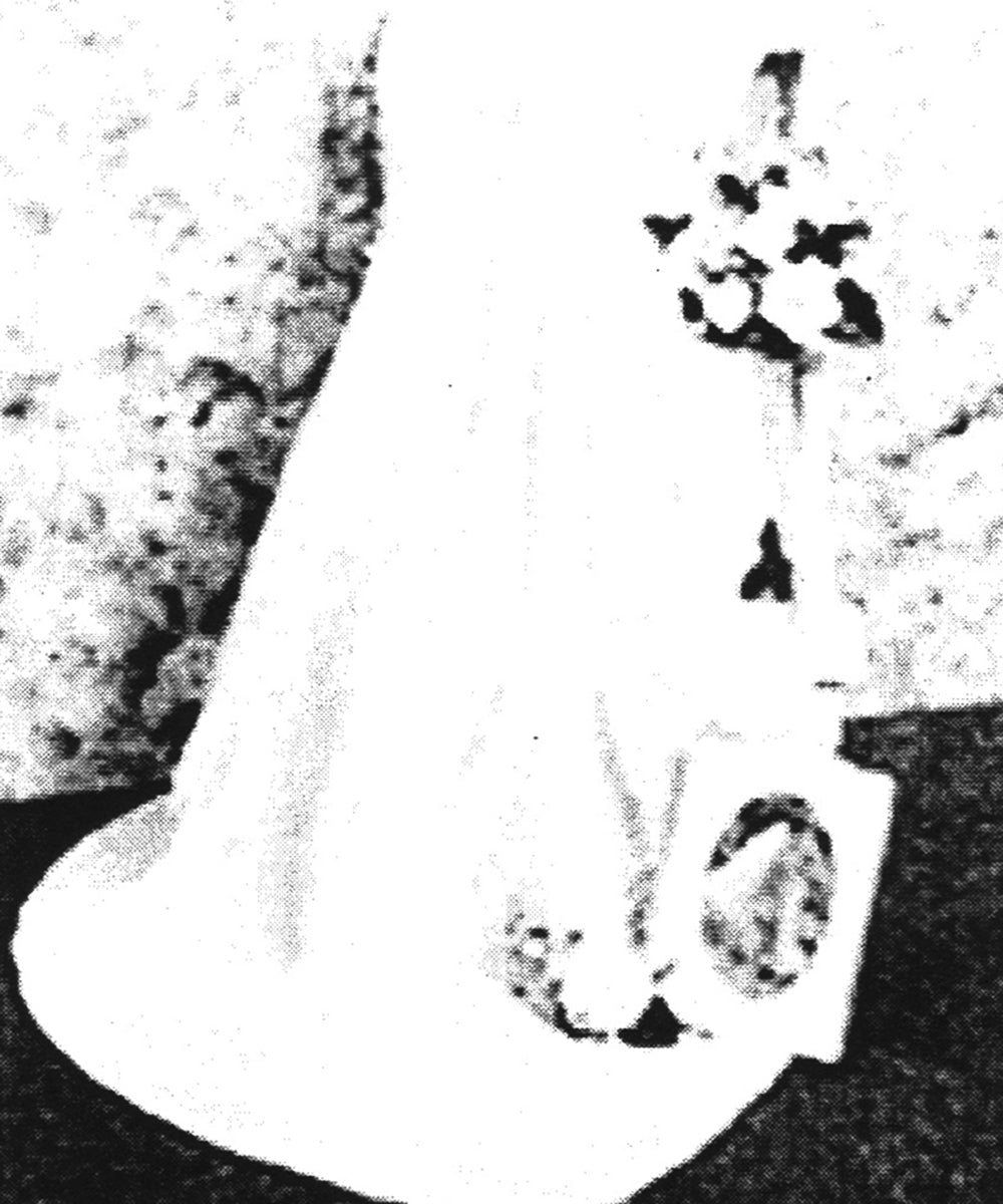 Patrón afgano del corazón mío