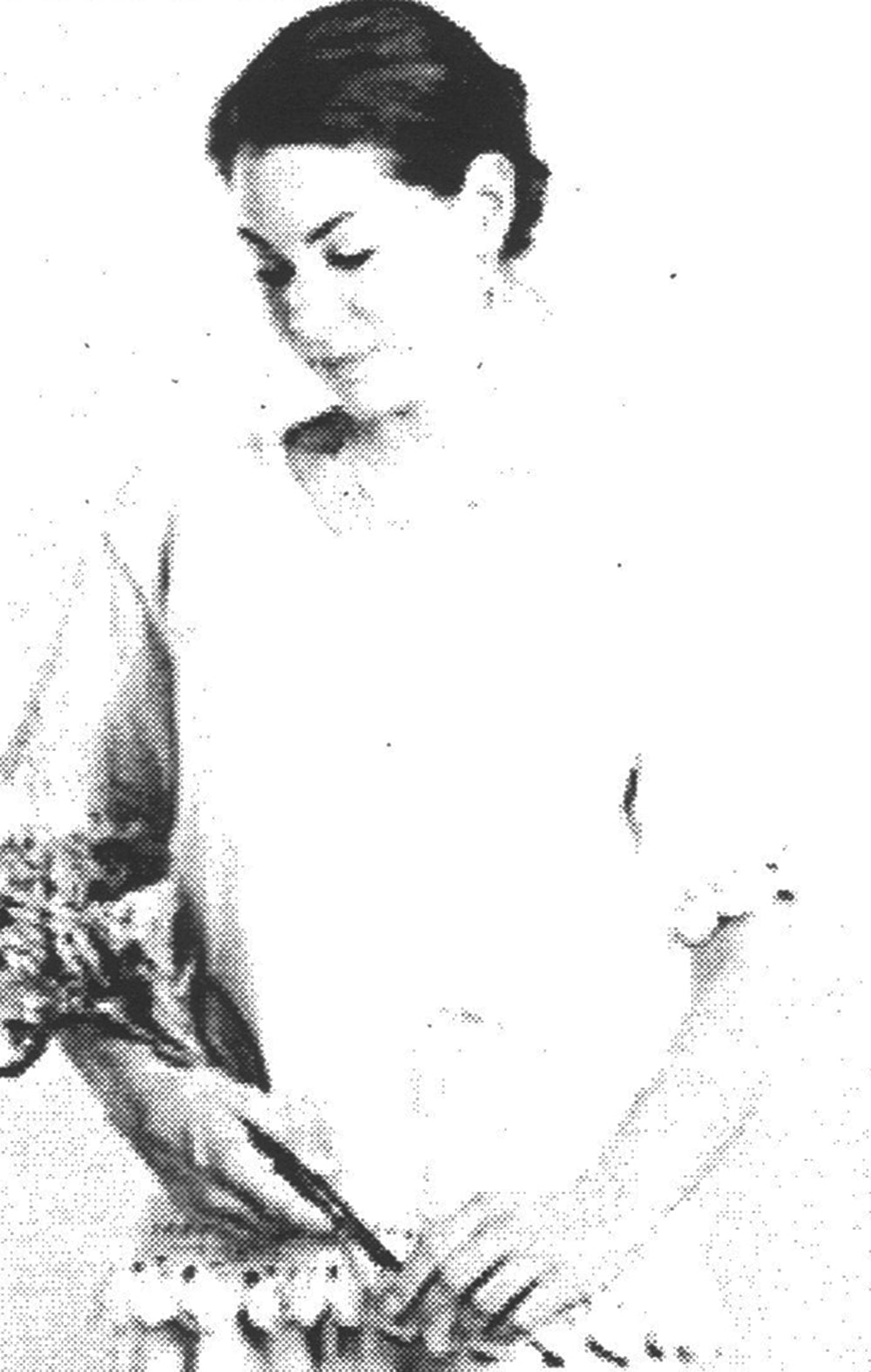 Modèle de pull papillon