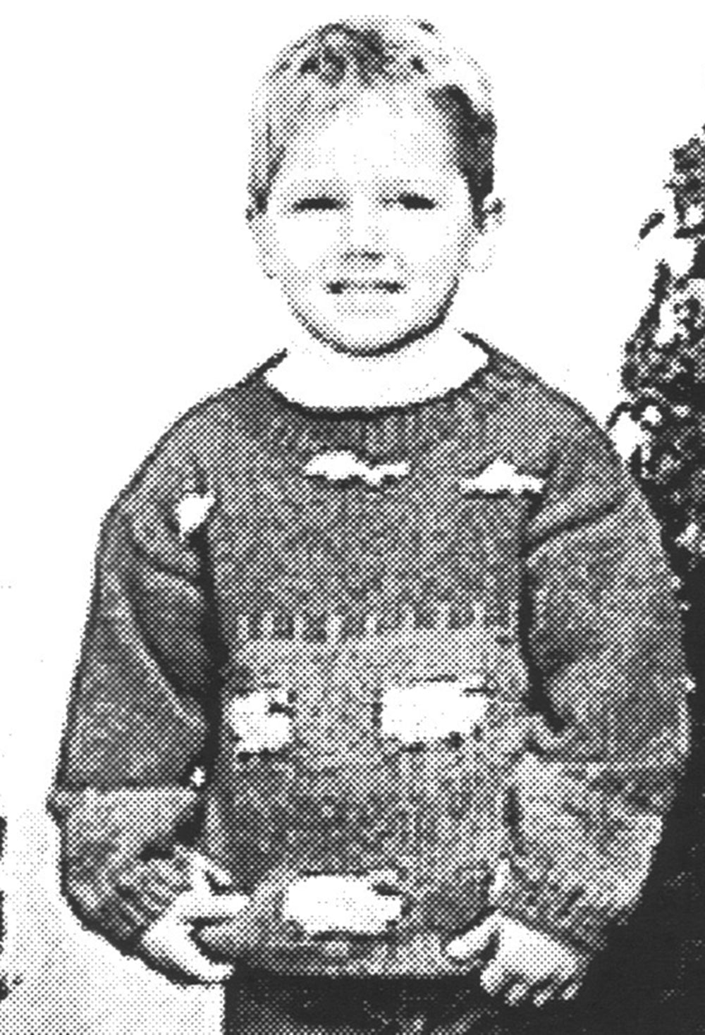 Patrón de suéter y sombrero de oveja campestre