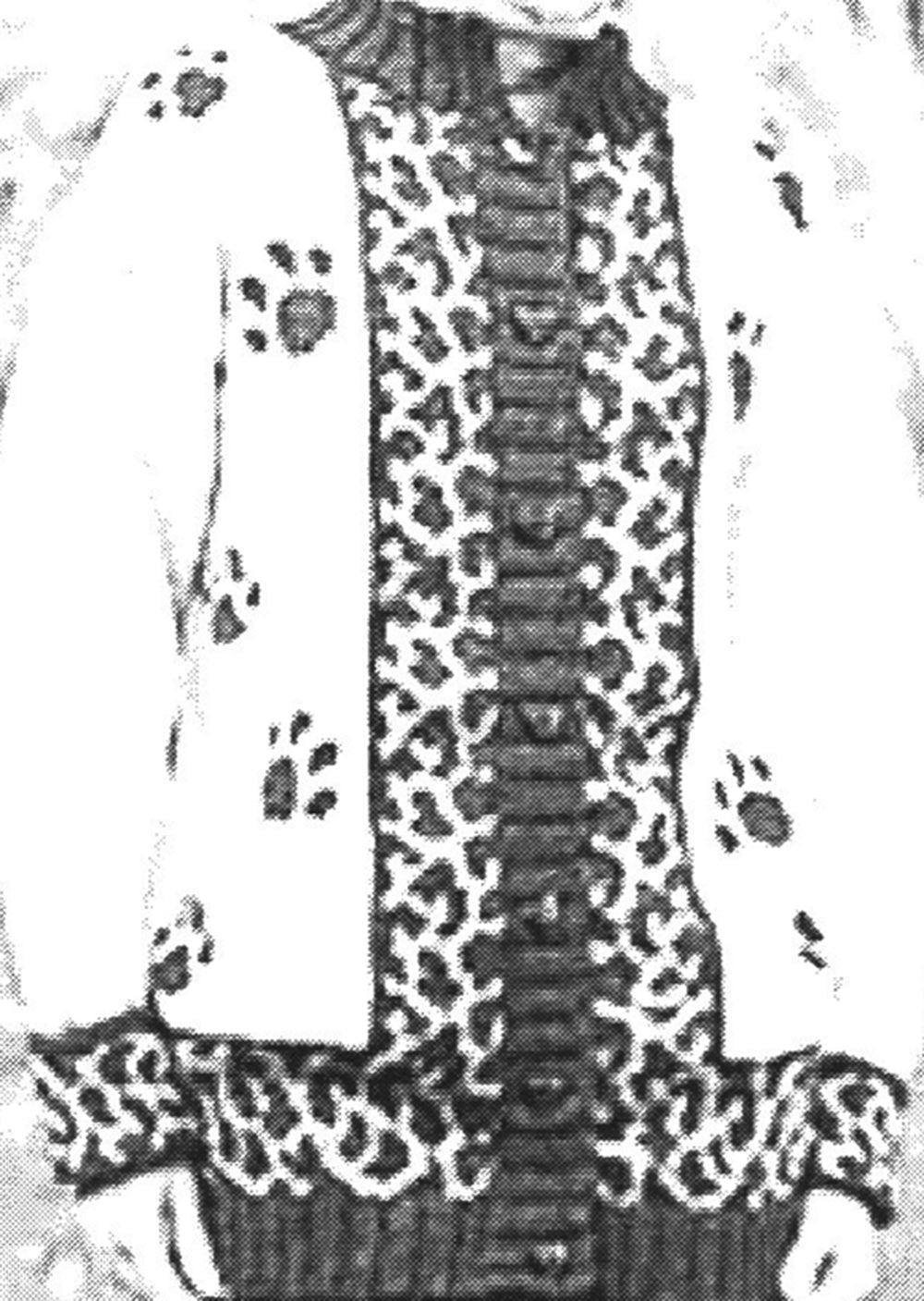 Modèle de cardigan de l’appel du sauvage