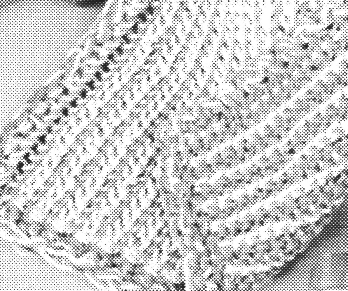 Dishcloth On The Double Pattern