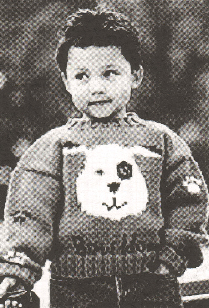 Modèle de pull Puppy Pal