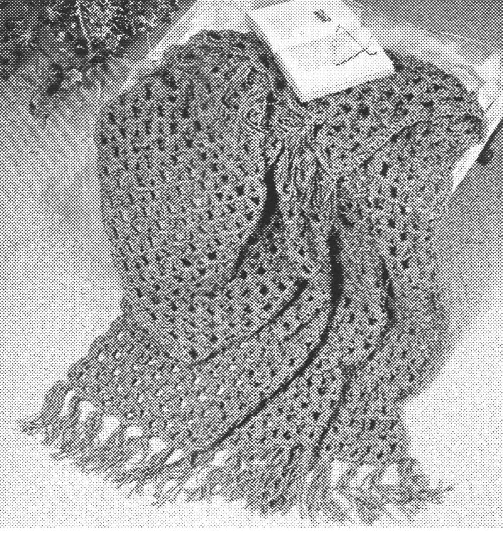 Fascination Afghan Pattern