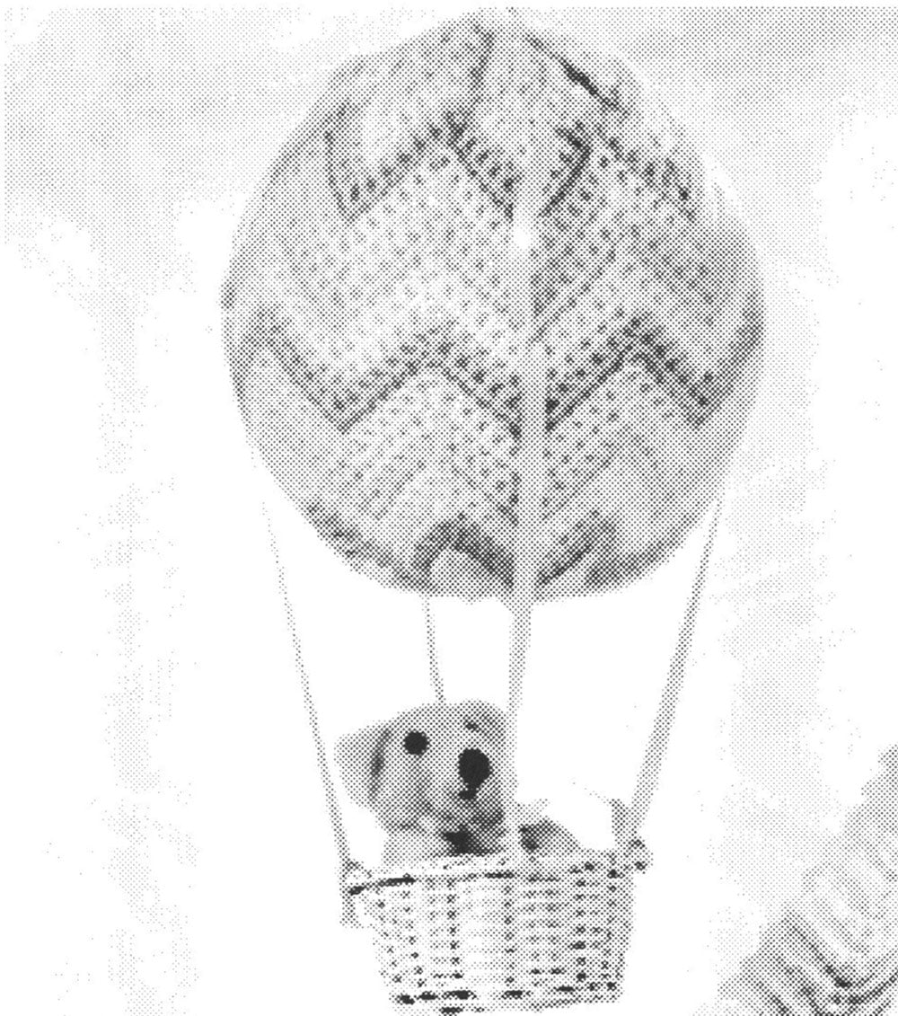 Patrón de globo aerostático