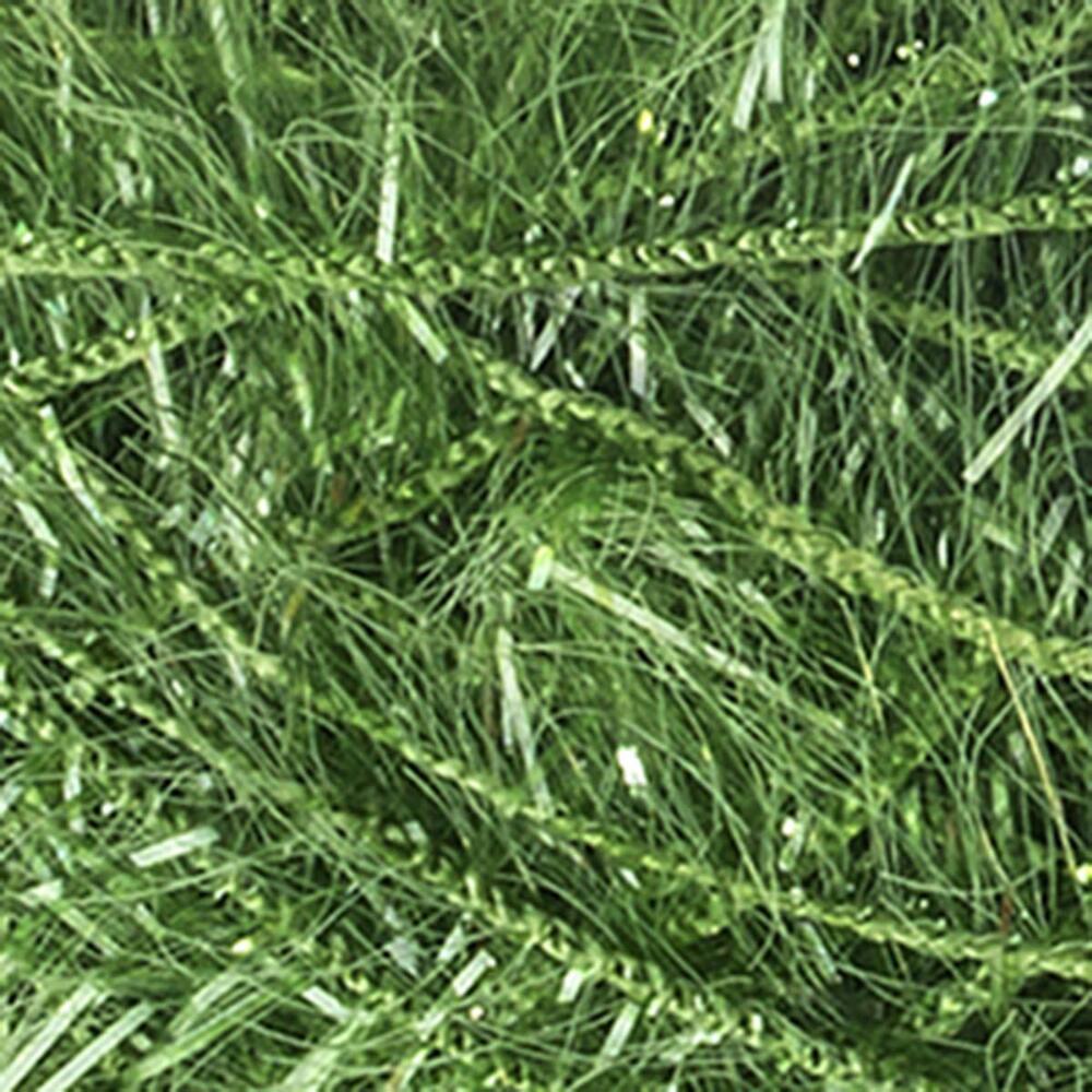 Red Heart Scrubby Yarn