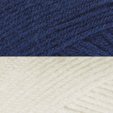 Winter Sentinel Blanket