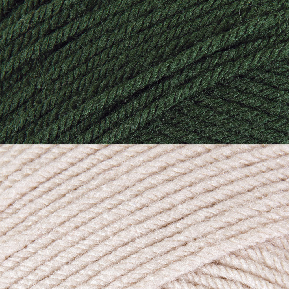 Winter Sentinel Blanket – Mary Maxim