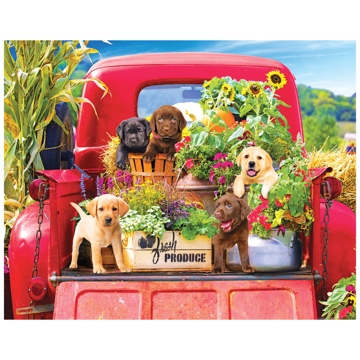 Kodak 4 in 1 Jigsaw Puzzle Set