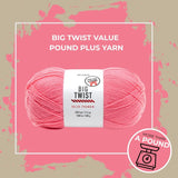 Big Twist Value Pound Plus Yarn