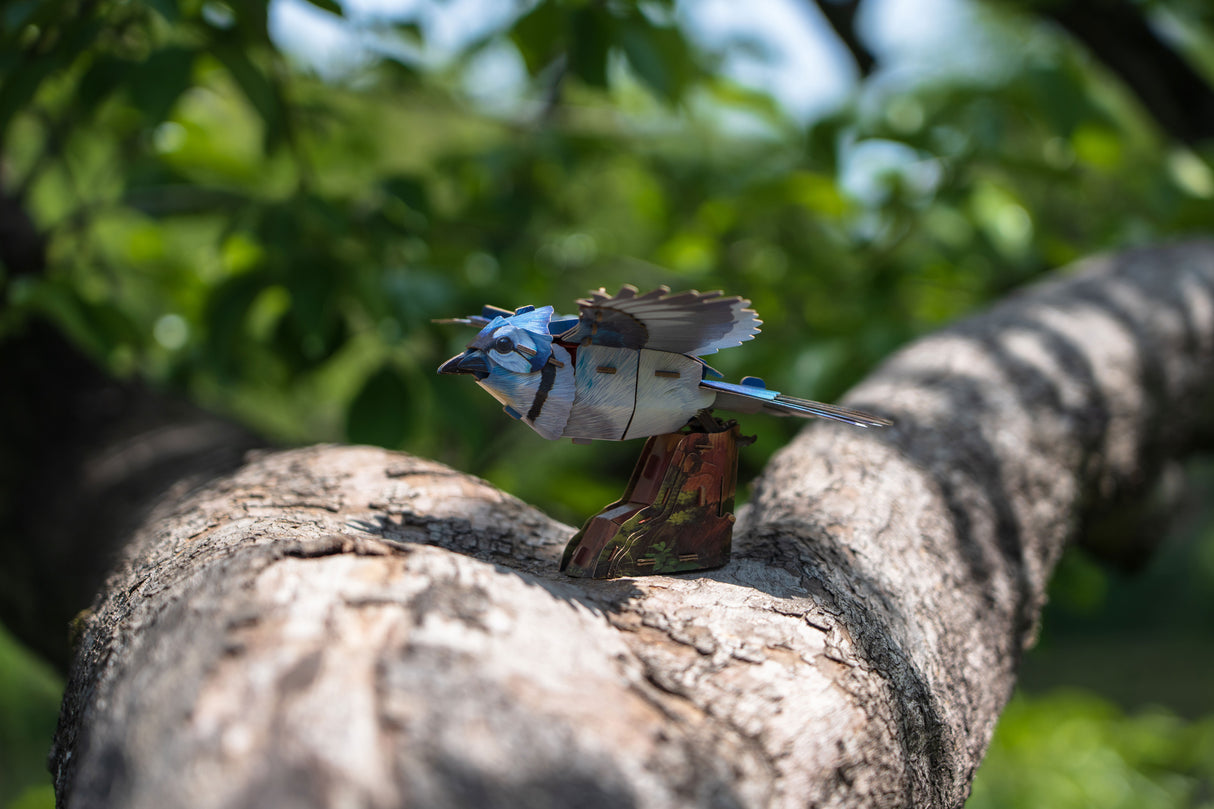 Blue Jay 3D Bird Puzzle