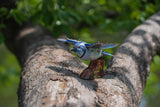 Blue Jay 3D Bird Puzzle