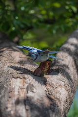 Blue Jay 3D Bird Puzzle