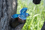Blue Jay 3D Bird Puzzle