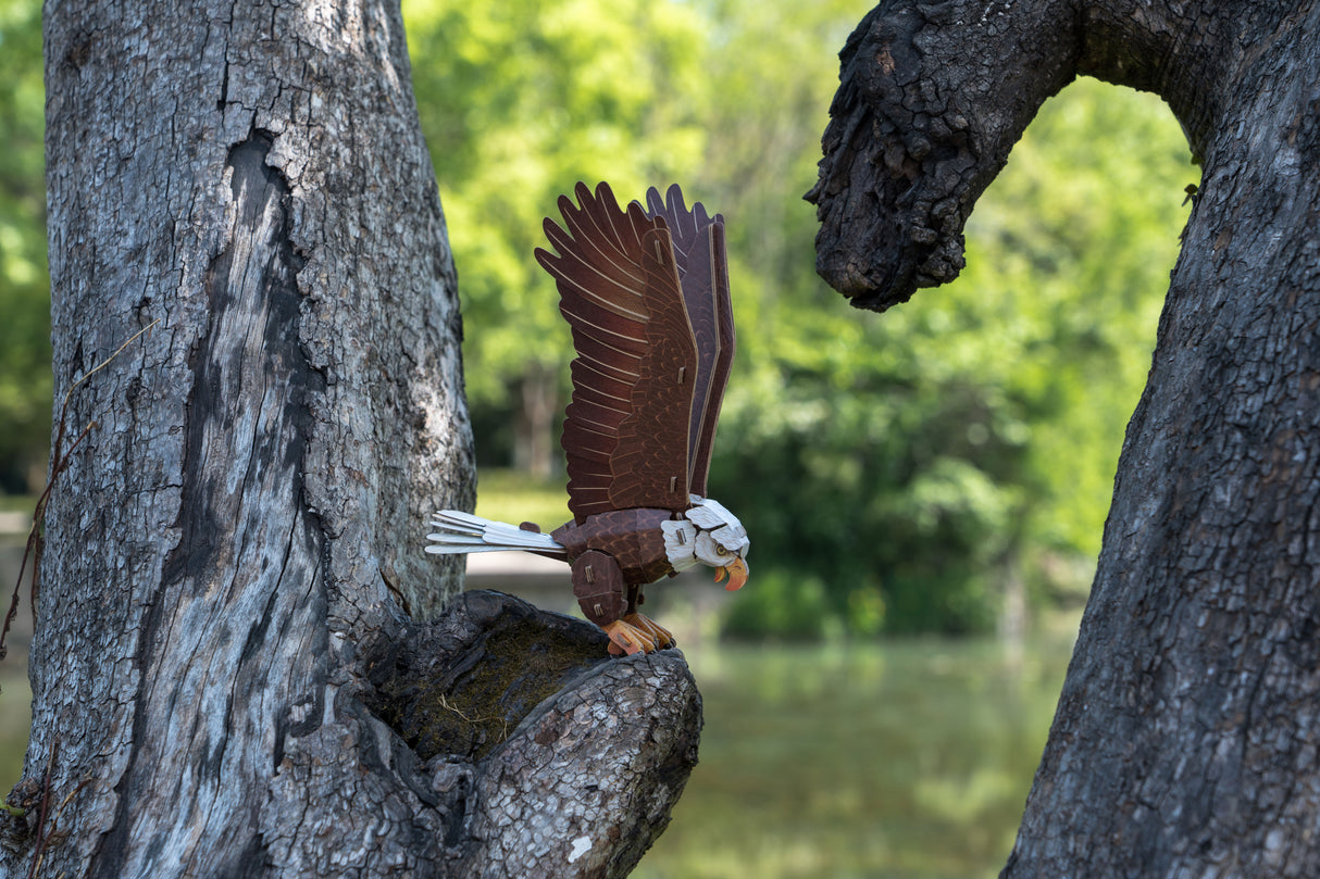 Bald Eagle 3D Bird Puzzle