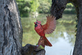 North American Cardinal 3D Bird Puzzle