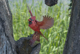 North American Cardinal 3D Bird Puzzle