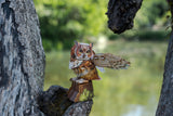 Great Horned Owl 3D Bird Puzzle