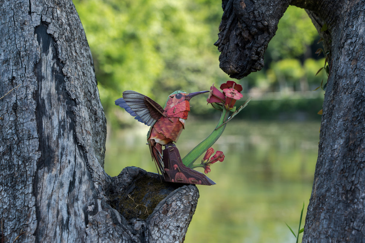 Hummingbird 3D Bird Puzzle