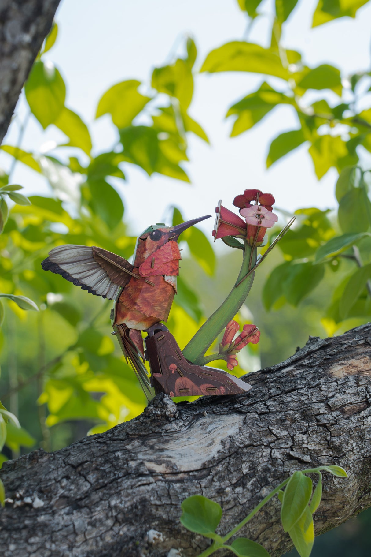 Hummingbird 3D Bird Puzzle