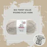 Big Twist Value Pound Plus Yarn
