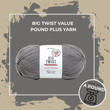 Big Twist Value Pound Plus Yarn