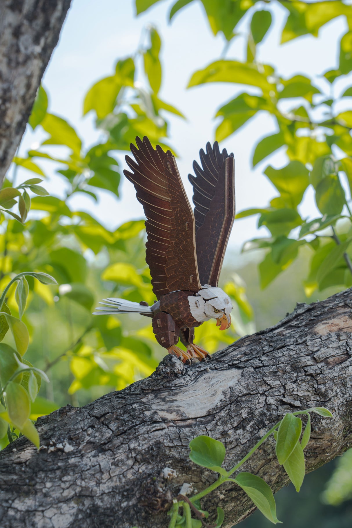 Bald Eagle 3D Bird Puzzle
