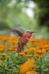 Hummingbird 3D Bird Puzzle