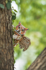 Great Horned Owl 3D Bird Puzzle