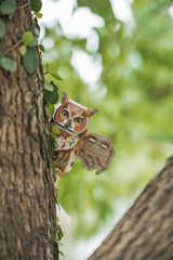 Great Horned Owl 3D Bird Puzzle