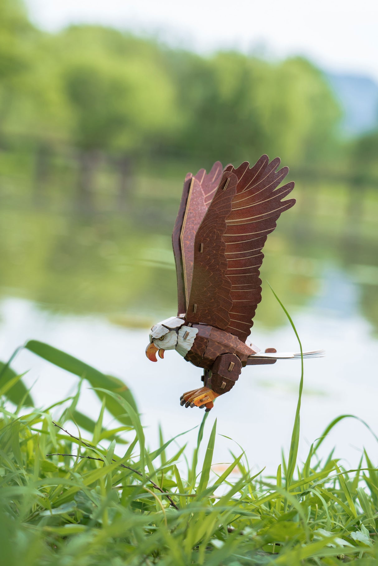Bald Eagle 3D Bird Puzzle