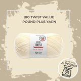 Big Twist Value Pound Plus Yarn
