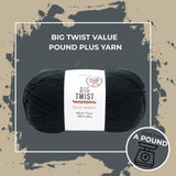 Big Twist Value Pound Plus Yarn