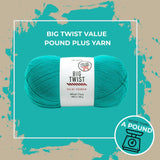 Big Twist Value Pound Plus Yarn