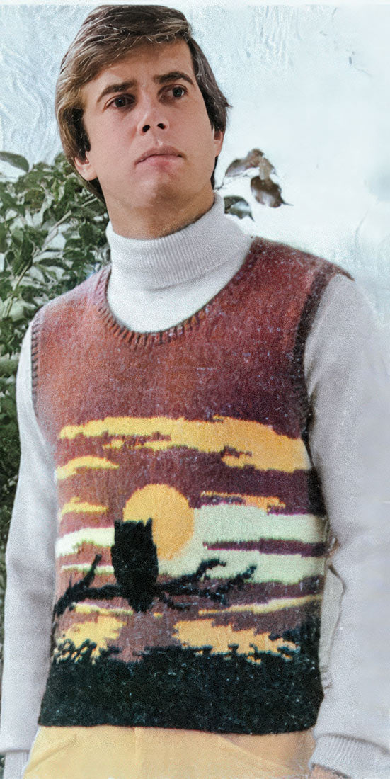 Patrón deslizable Búho en la noche