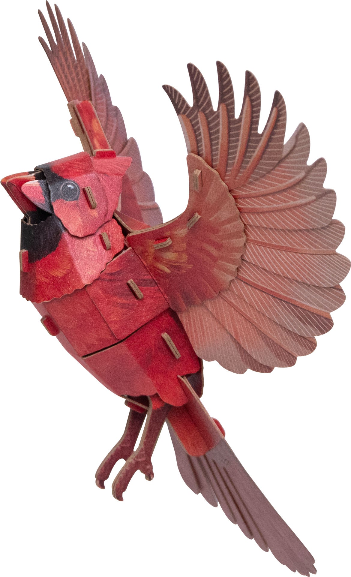 North American Cardinal 3D Bird Puzzle