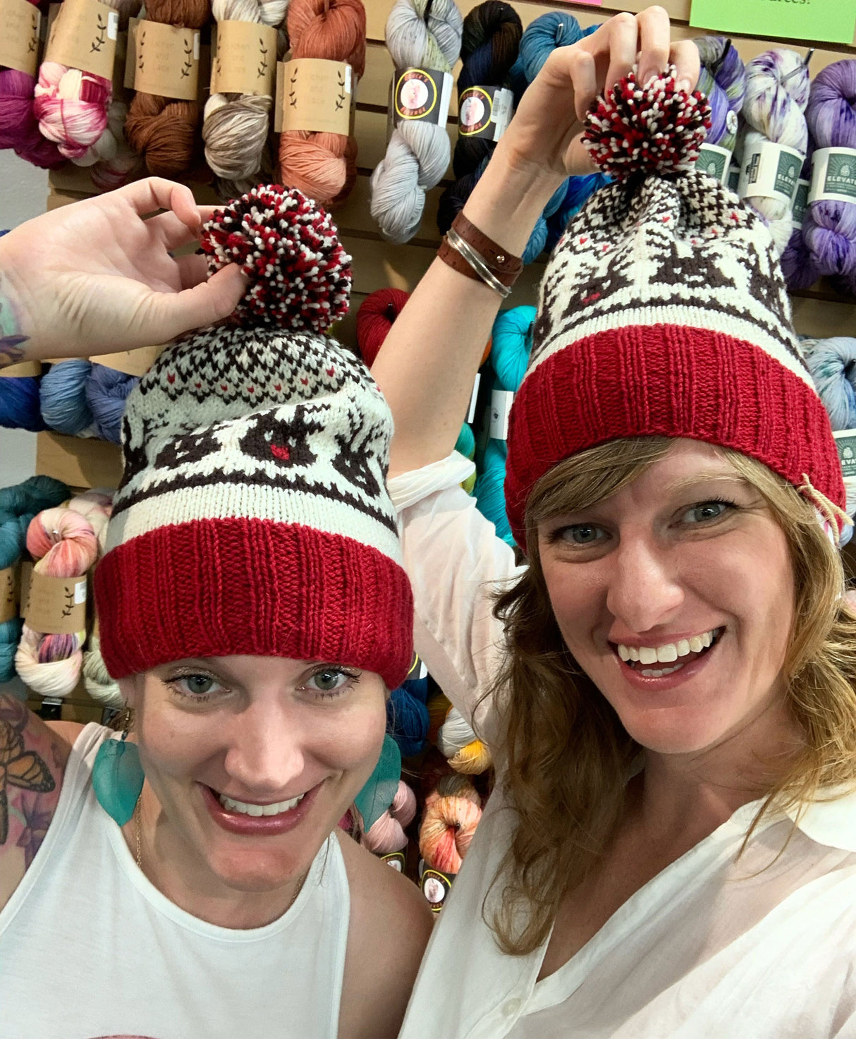 Head to the Sleigh Knit Hat