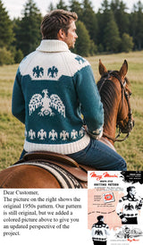 Modèle de cardigan indien aigle pour hommes