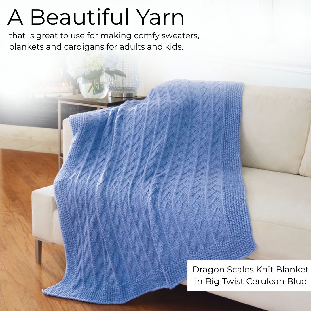 Big Twist Value Pound Plus Yarn