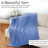 Big Twist Value Pound Plus Yarn