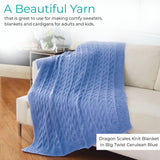 Big Twist Value Pound Plus Yarn