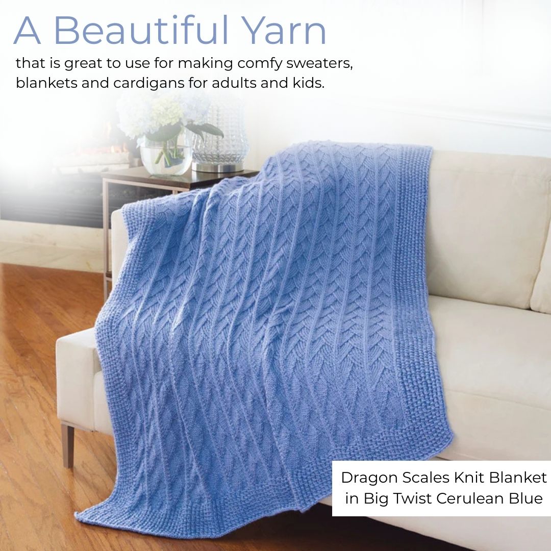 Big Twist Value Pound Plus Yarn